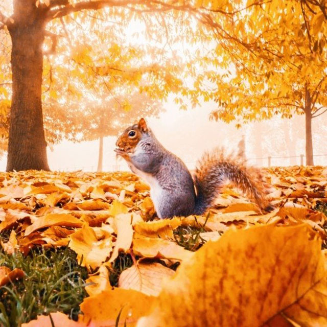 Top beautiful autumn photos