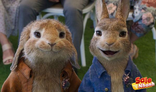 Salenhanh review Peter Rabbit 2