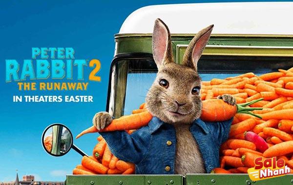 Cartoon peter rabbit 2