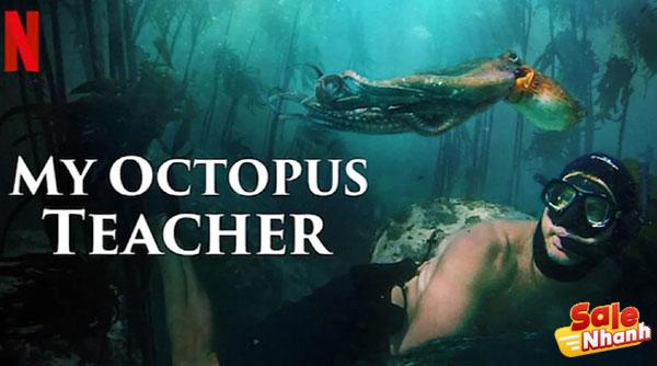 Movie My Octopus Teacher